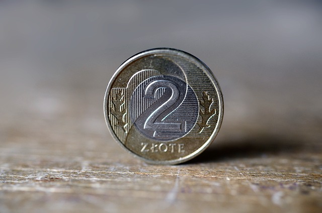 cizí mince